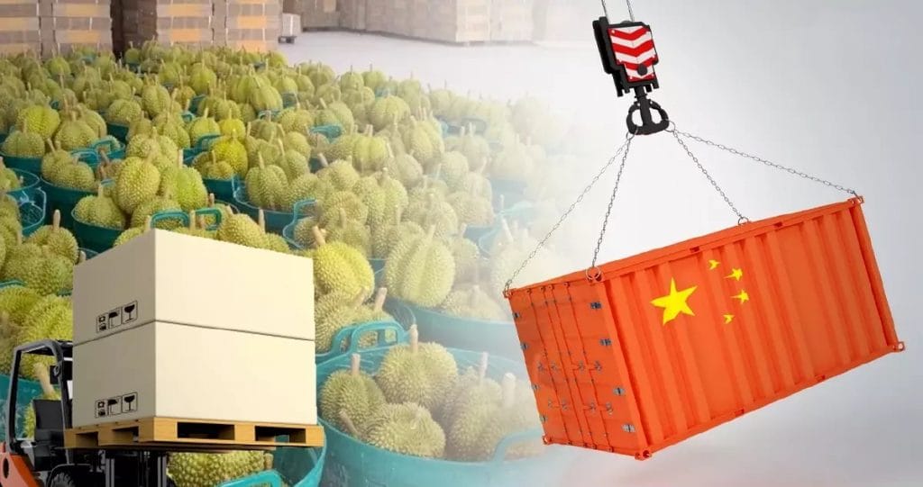 Thaise doerians in de Chinese grensplaats Mohan gearriveerd 