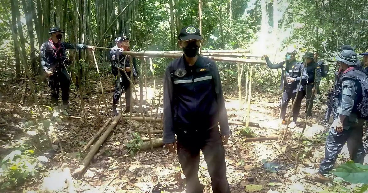 In een bosreservaat in de provincie Yala is een wilde olifant voor zijn slagtanden “omgelegd”