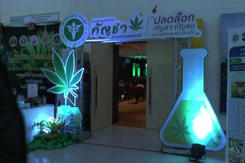 Buitenlandse toeristen zullen massaal naar Thailand komen als de marihuanawet is gewijzigd, zo luidt de verwachting