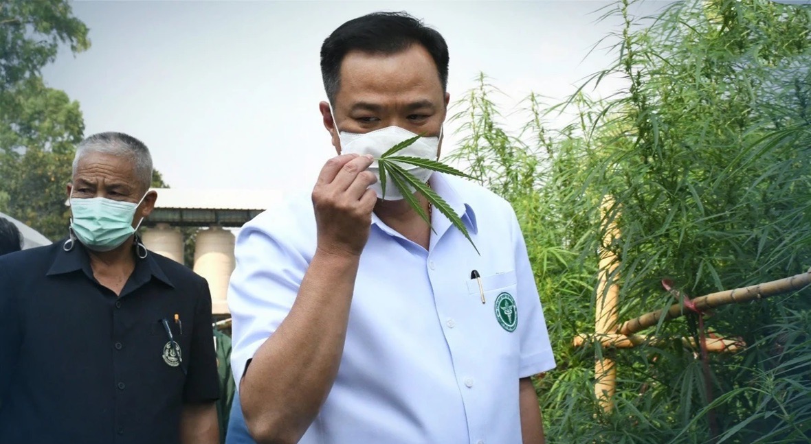 Na 9 juni mogen Thaise huishoudens zoveel wietplanten kweken als ze willen