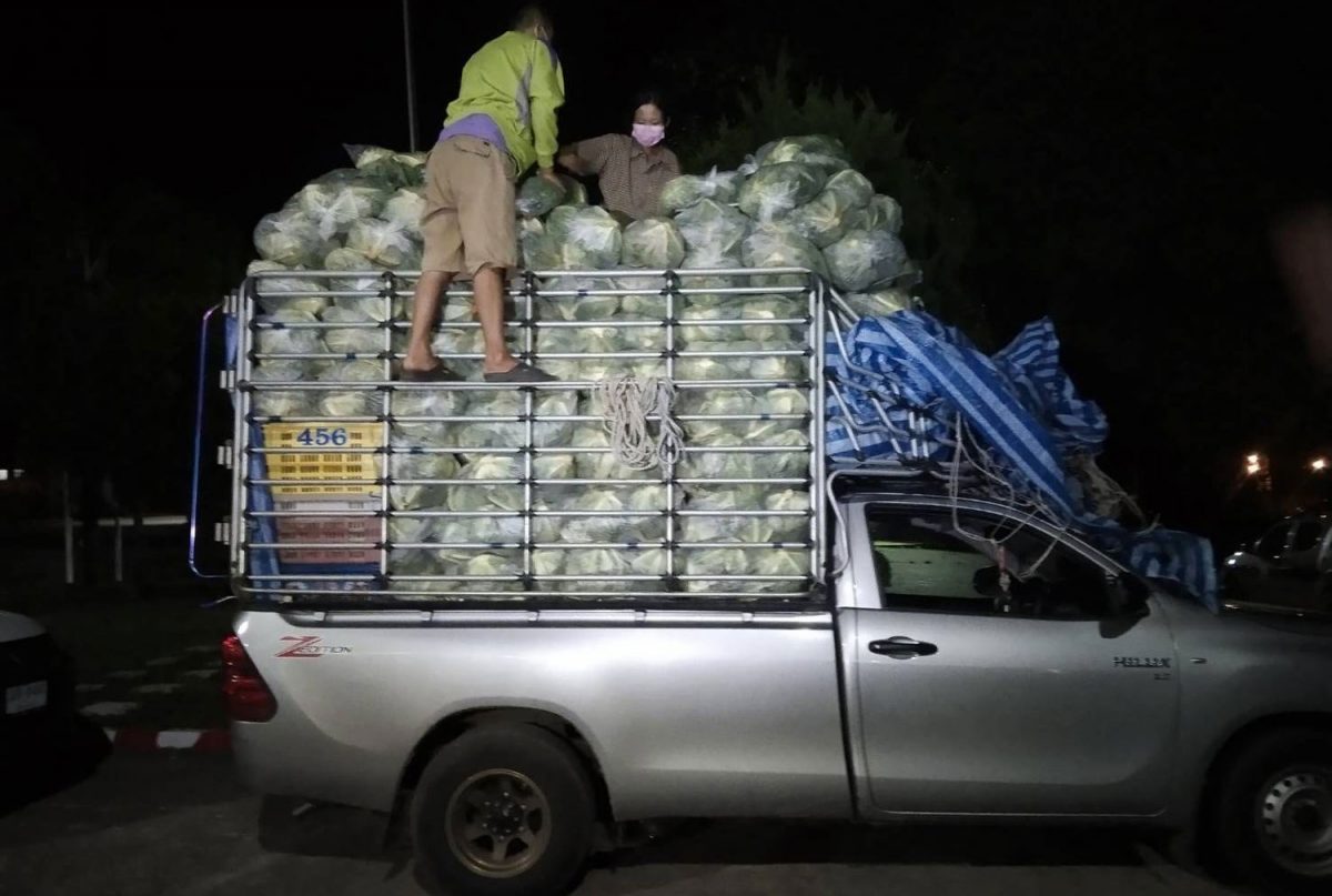 14 Illegale werkzoekenden onder de groene kool verstopte in pick-up trucks gesnapt