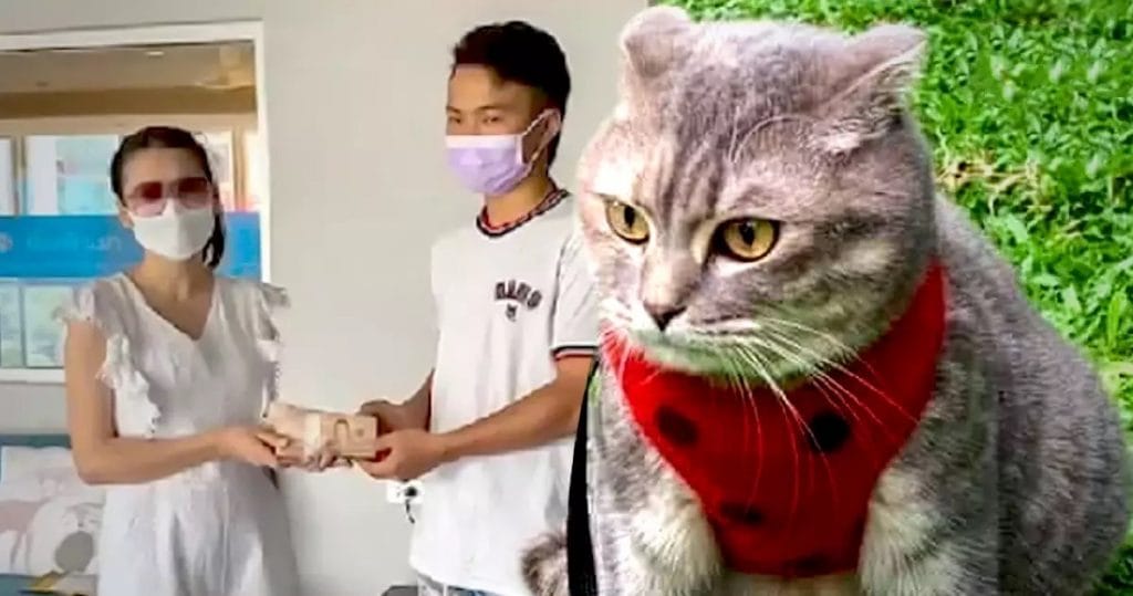 Thaise bewaker krijgt een fortuin voor het terugbrengen van “Poekie”