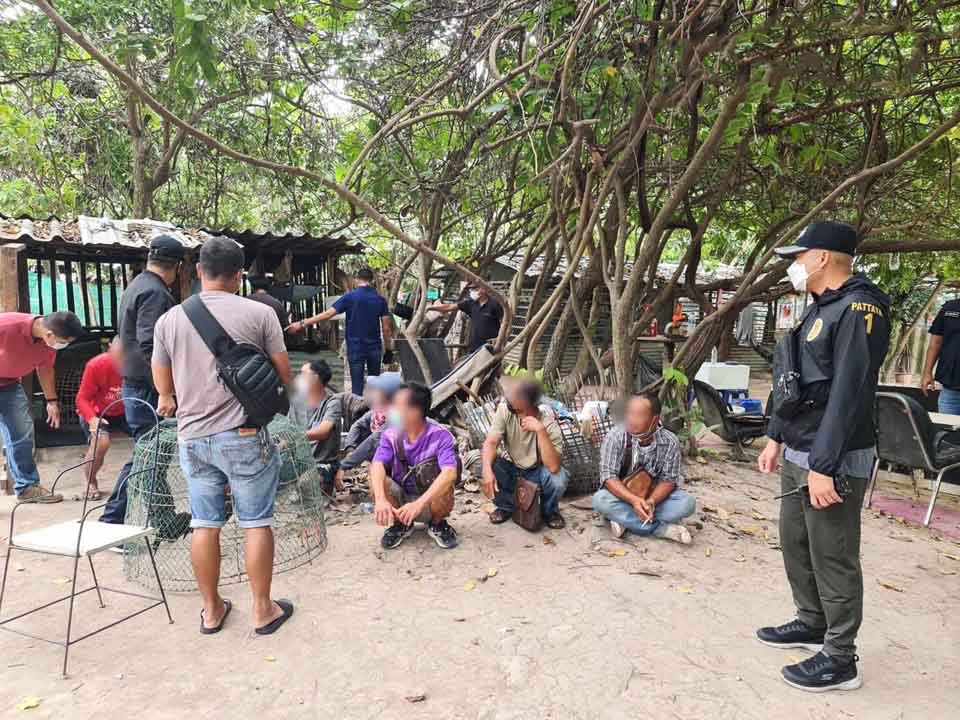 De politie van Pattaya arresteert tien gokkers op een fokkerij voor vechthanen aan de Thappraya Road