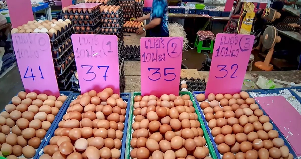 Als gevolg van de crisis in de kosten van levensonderhoud in Thailand blijft de prijs van eieren stijgen