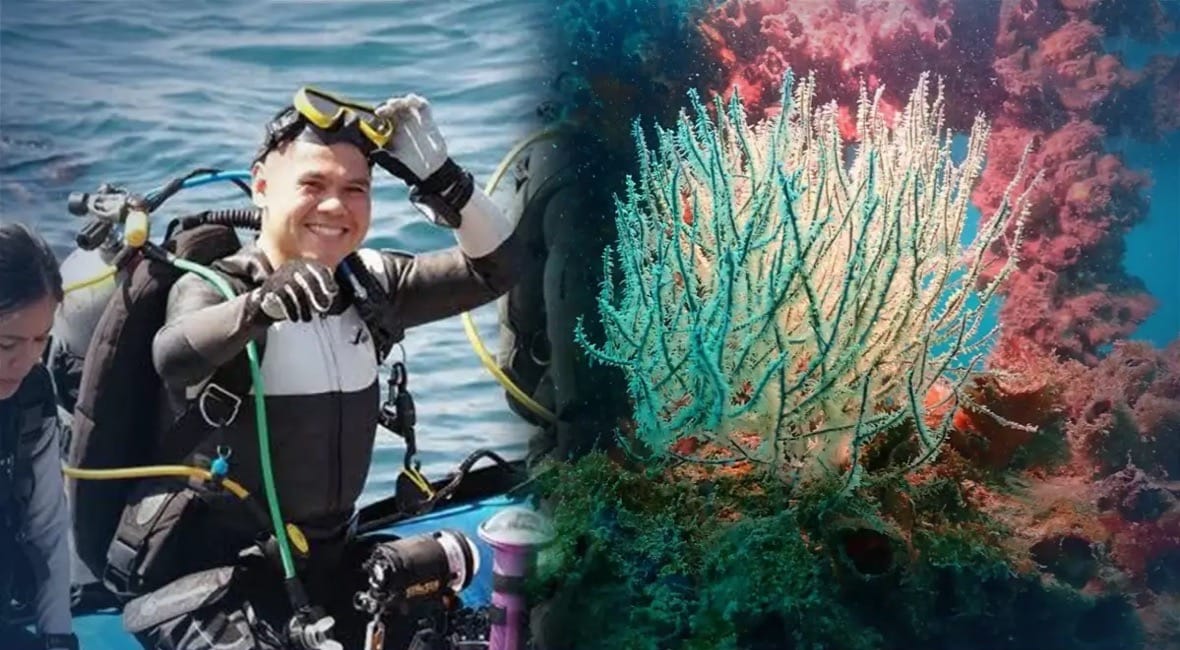 Het Rig-to-reef-project blijkt in Pha-ngan uiterst succesvol!