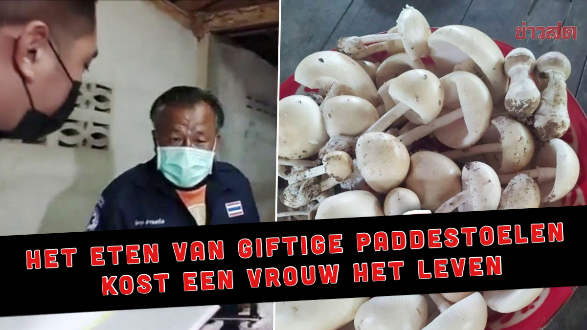 Thaise vrouw overlijdt in Noordoost-Thailand na het eten van giftige paddenstoelen, terwijl haar man in een coma belandt