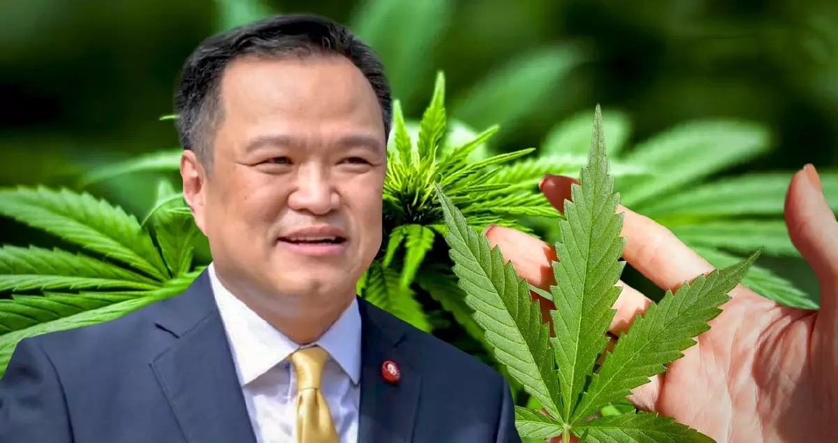 Volgens de minister van Volksgezondheid worden er volgende  maand juni één miljoen gratis wietplanten in Thailand uitgedeeld