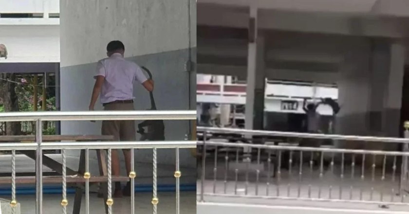 Student smijt een brutale aap op de grond nadat dier hem gebeten had op een school in centraal Thailand
