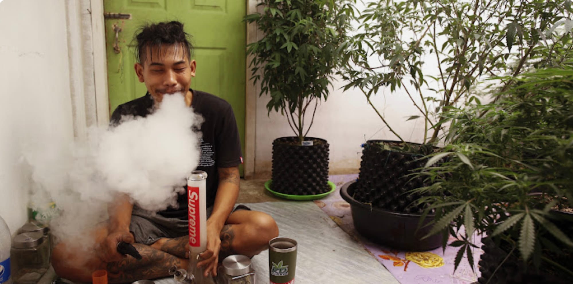 Thaise overheid deelt gratis wietplanten uit, maar high worden op straat nog steeds verboden