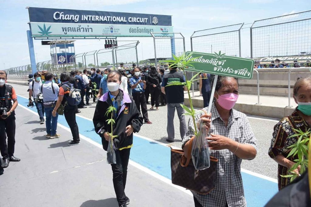De Cannabisbeurs op het Chang International Circuit in Buriram trok véél Thaise mensen voor één gratis cannabis-plantje 