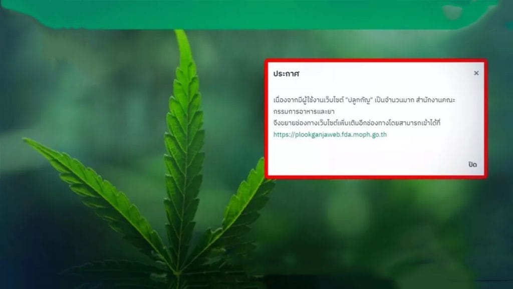 De “Plookganja’-app” van Thailand ging  ‘PLAT’ nadat duizenden Thais probeerden zich te registreren, om wiet te kweken