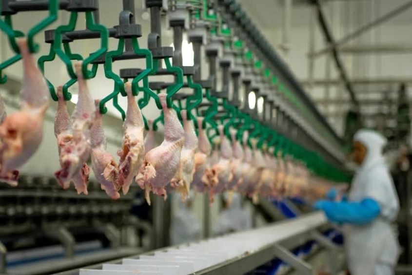 China staat meer invoer van pluimvee uit Thailand toe!