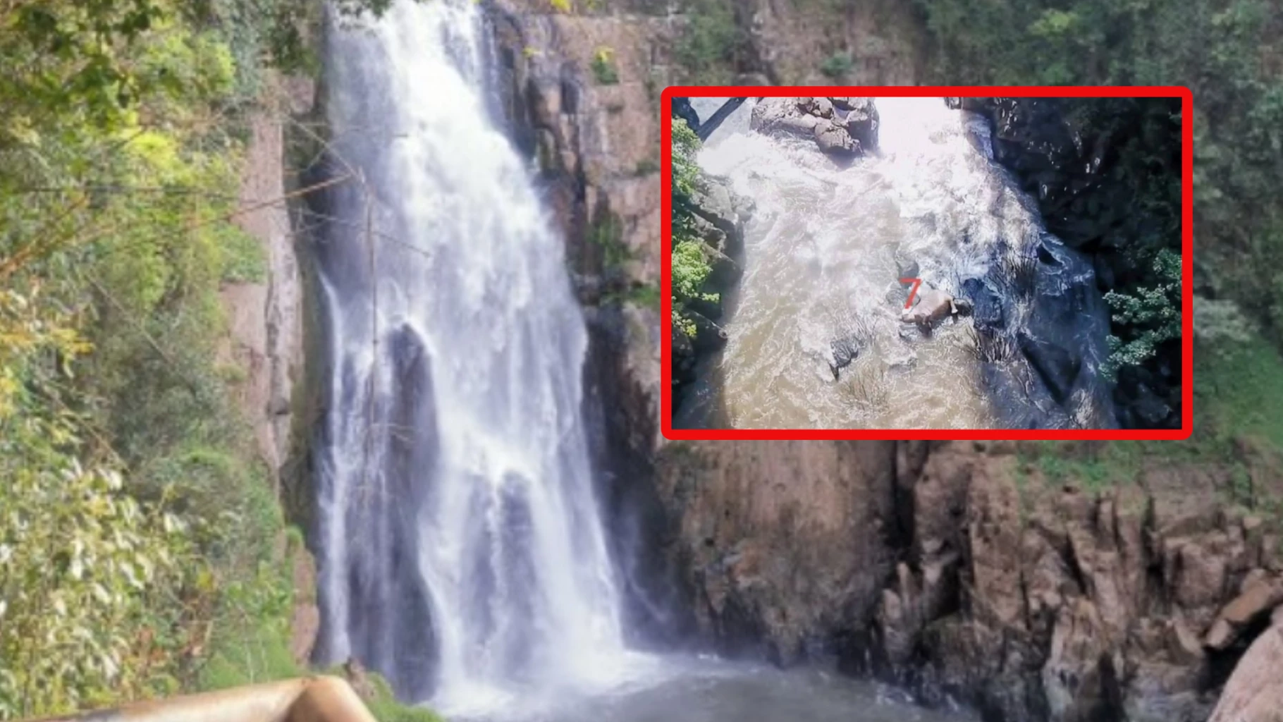 2 olifanten omgekomen bij een waterval in het Nationaal park Khao Yai in Thailand
