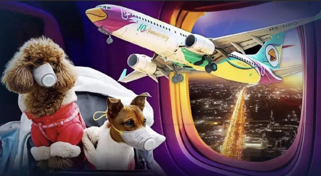Passagiers van Nok Air in Thailand mogen vanaf augustus met hun huisdieren naar hun bestemming vliegen