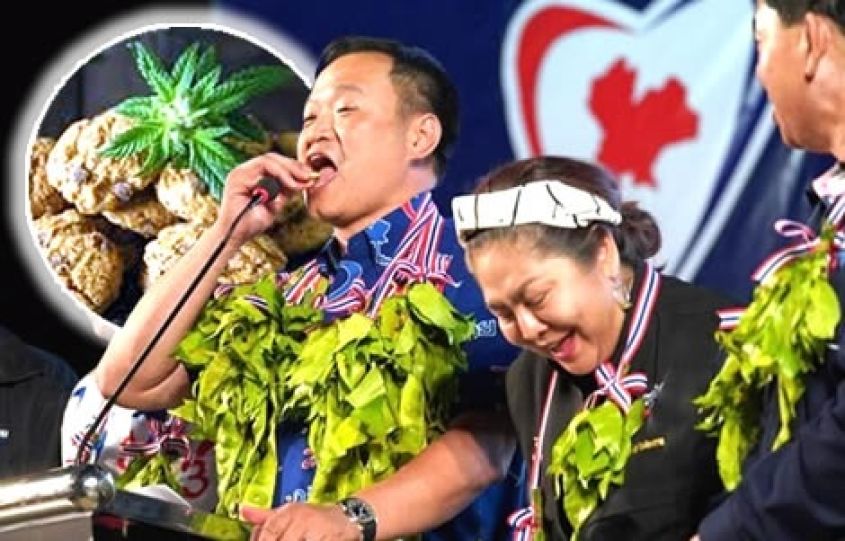 Parlementslid van de Bhumjaithai-partij van Thailand, laat weten dat marihuana niet gelegaliseerd is voor de “FUN”