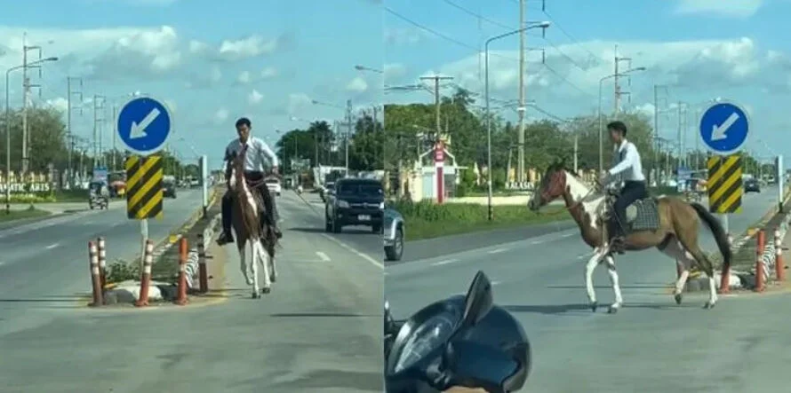 🎥 | Cowboy in Kalasin Cowboy’ rijdt te paard naar zijn universiteit in Noordoost-Thailand 