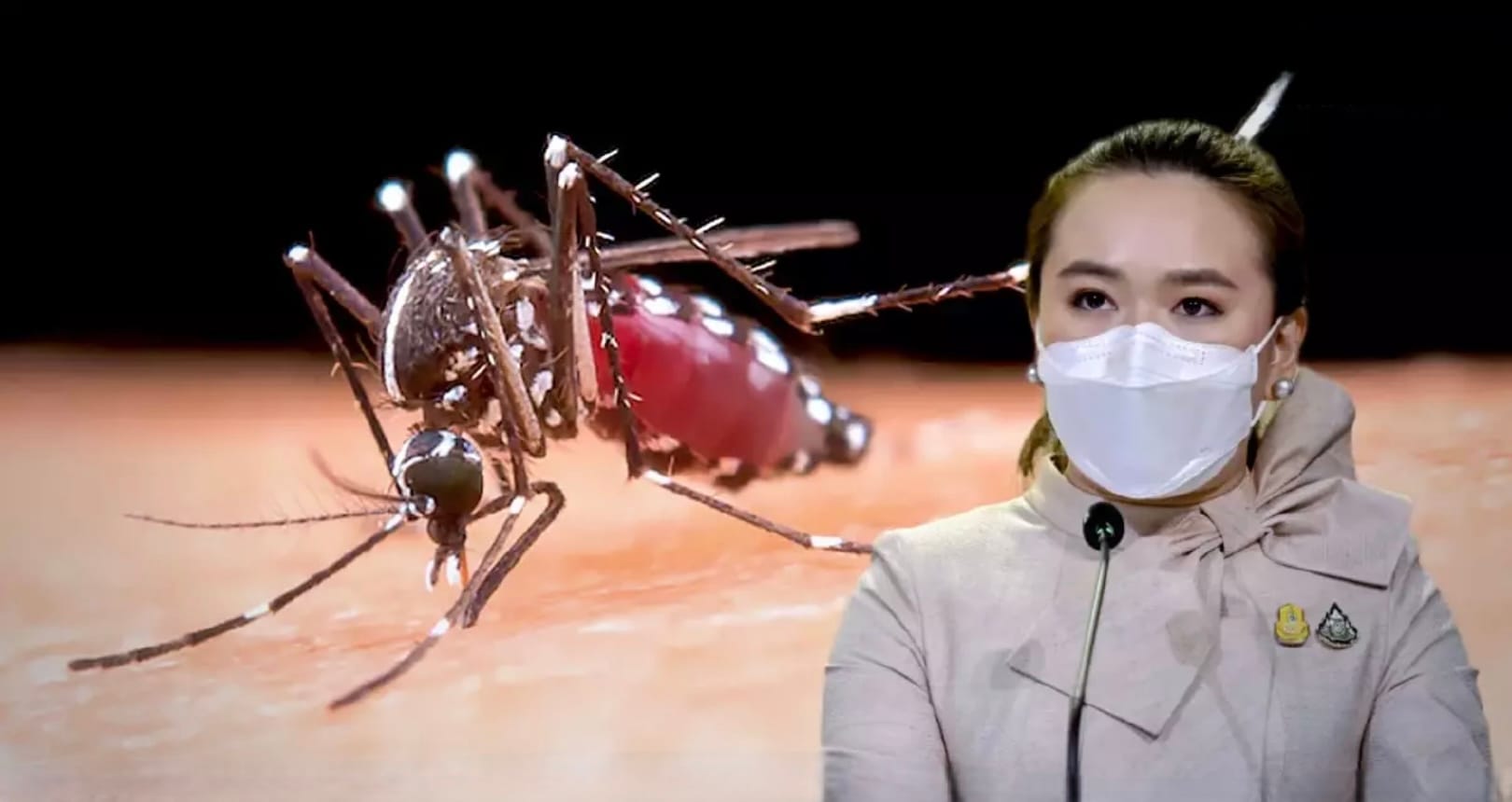 Dit regenseizoen brengt knokkelkoorts, hand-mond-en-klauwzeer met zich mee, zo waarschuwt de regering van Thailand