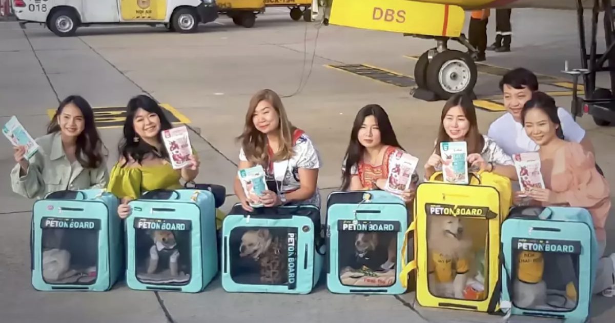 De eerste huisdier vriendelijke vlucht naar Chiang Mai mag een daverend succes genoemd worden