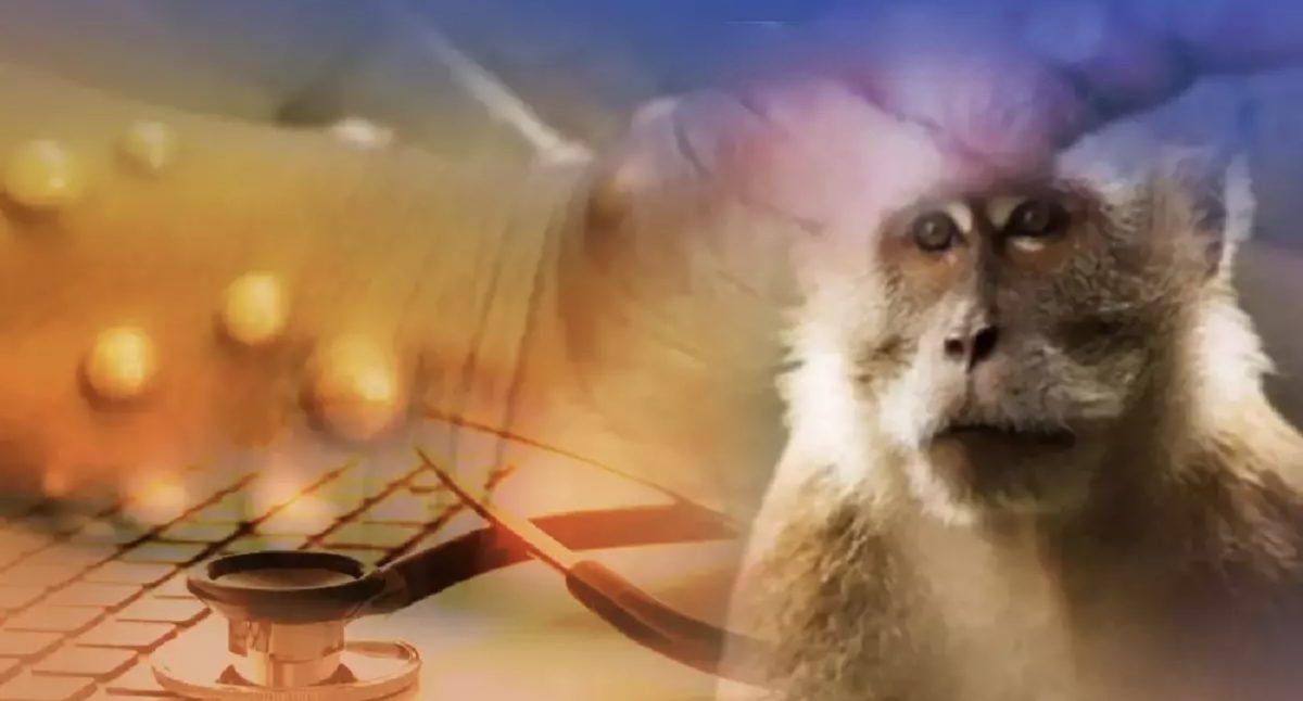 Belgische man waarvan vermoed wordt dat hij besmet is met apenpokken, zou mogelijk Thailand ontvlucht zijn