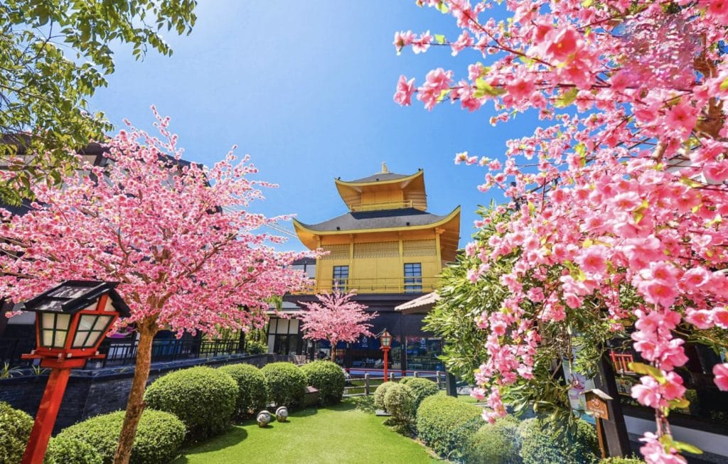 Het land van de rijzende zon viert een zomerfestival in Oost-Thailand 