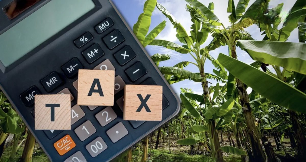 Ministerie van Financiën in Thailand, lokale autoriteiten mogen zelf het tarief van de grondbelasting bepalen
