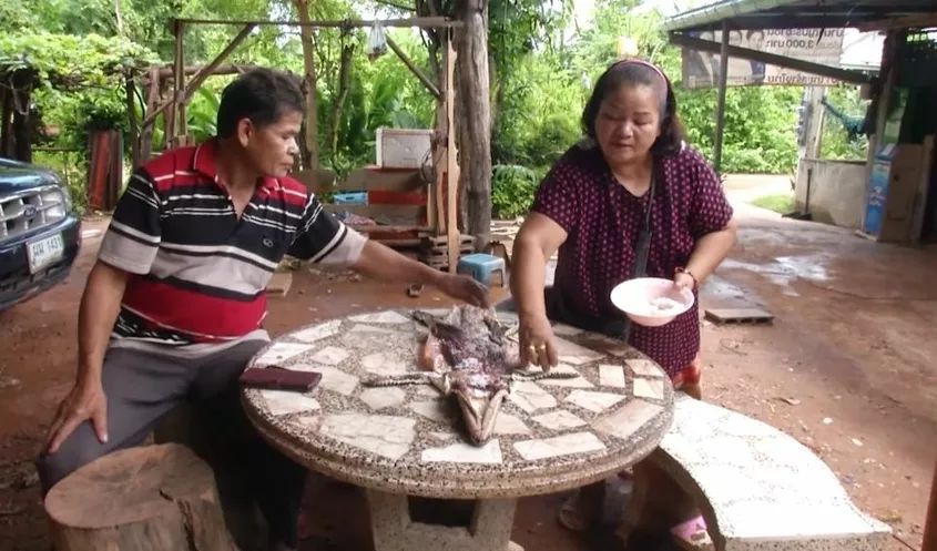 Krokodil komt op tafel in de ondergelopen in de provincie Khon Kaen