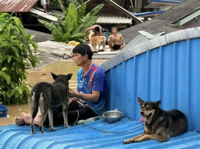 Honderden huishoudens in de provincie Rayong getroffen door enorme overstromingen
