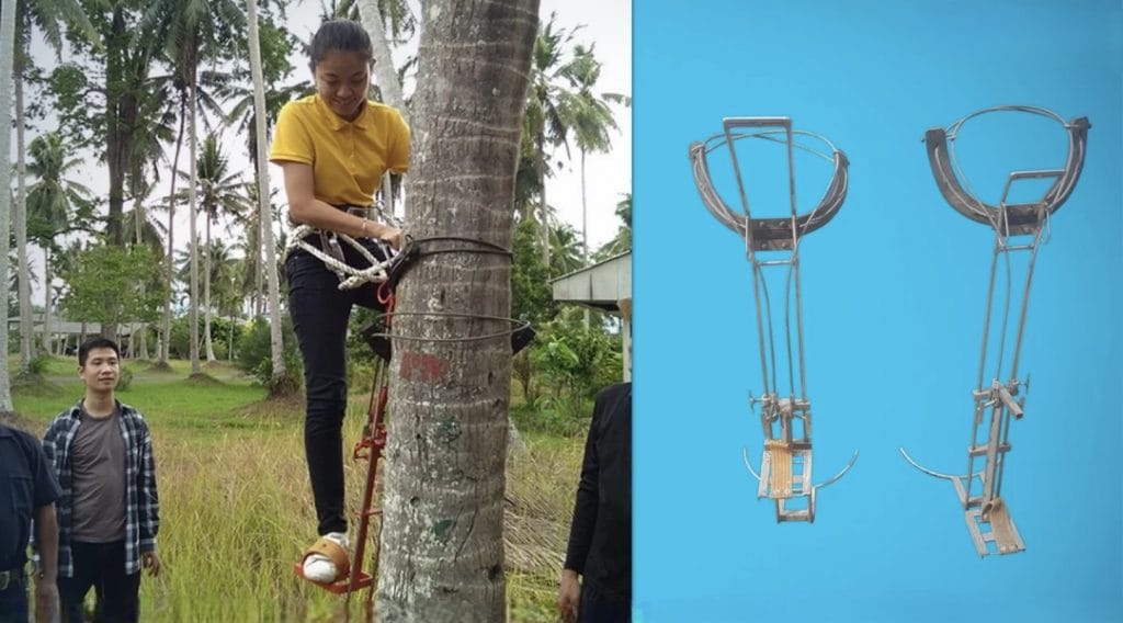 Geen apenslavernij in Thailand meer!, de boeren hebben nu een machine om kokospalmen te plukken 