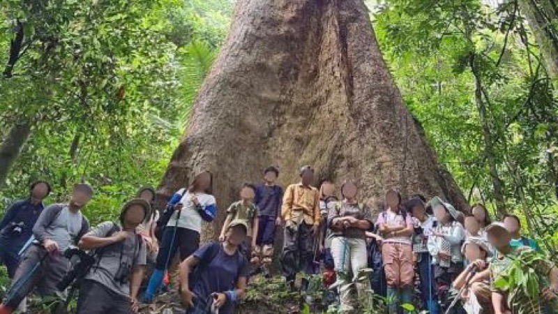 Vooraanstaand medicus in Thailand waarschuwt dat: de holle bomen kunnen giftige schimmel bevatten