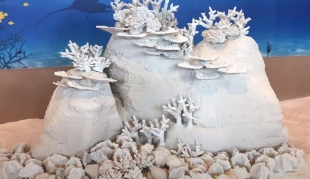 🎥 | Thaise universiteit maakt 3D-geprint koraalrif waar koraal op kan groeien