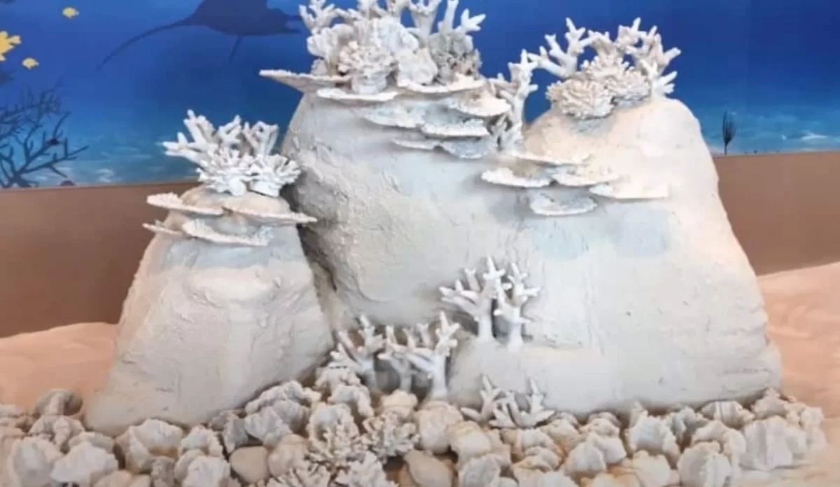 🎥 | Thaise universiteit maakt 3D-geprint koraalrif waar koraal op kan groeien