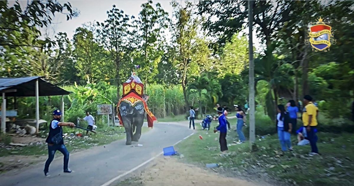 Humeurige olifant valt tijdens de wijdingsceremonie in Noordoost-Thailand de bevolking aan
