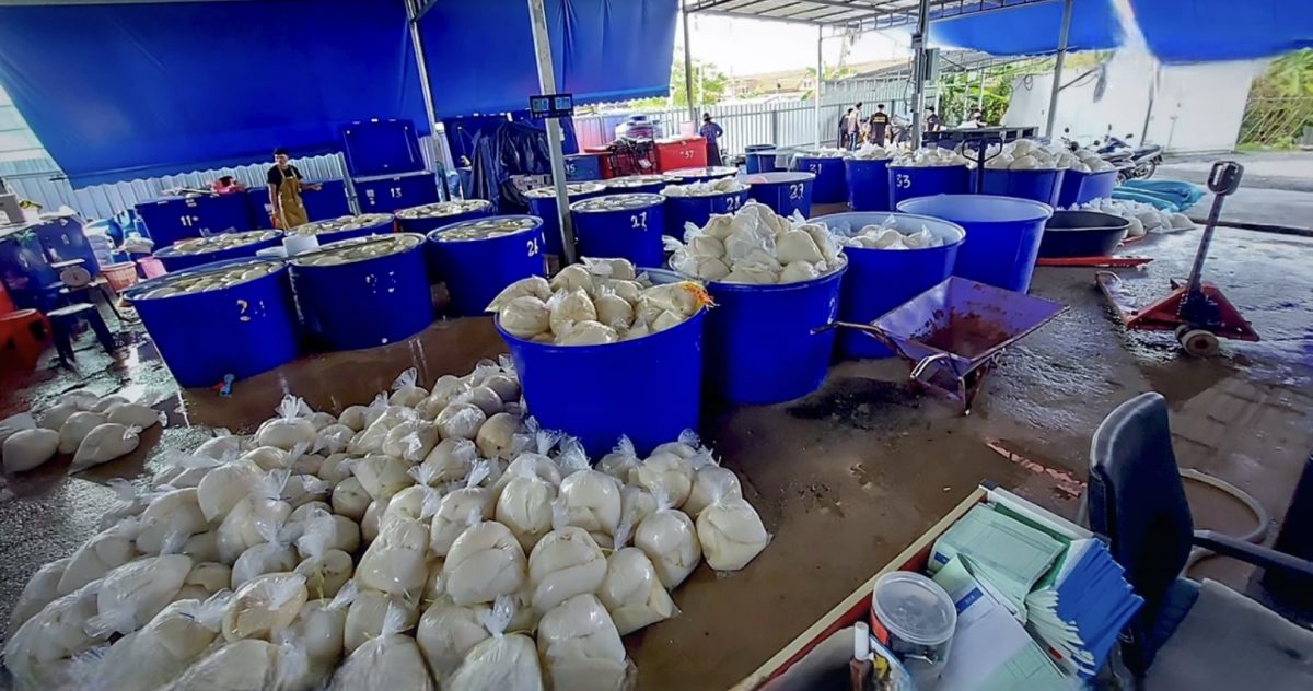 In Oost-Thailand bij een fabriek méér dan 25 ton vlees, met formaldehyde verrijkt slachtafval in beslag genomen