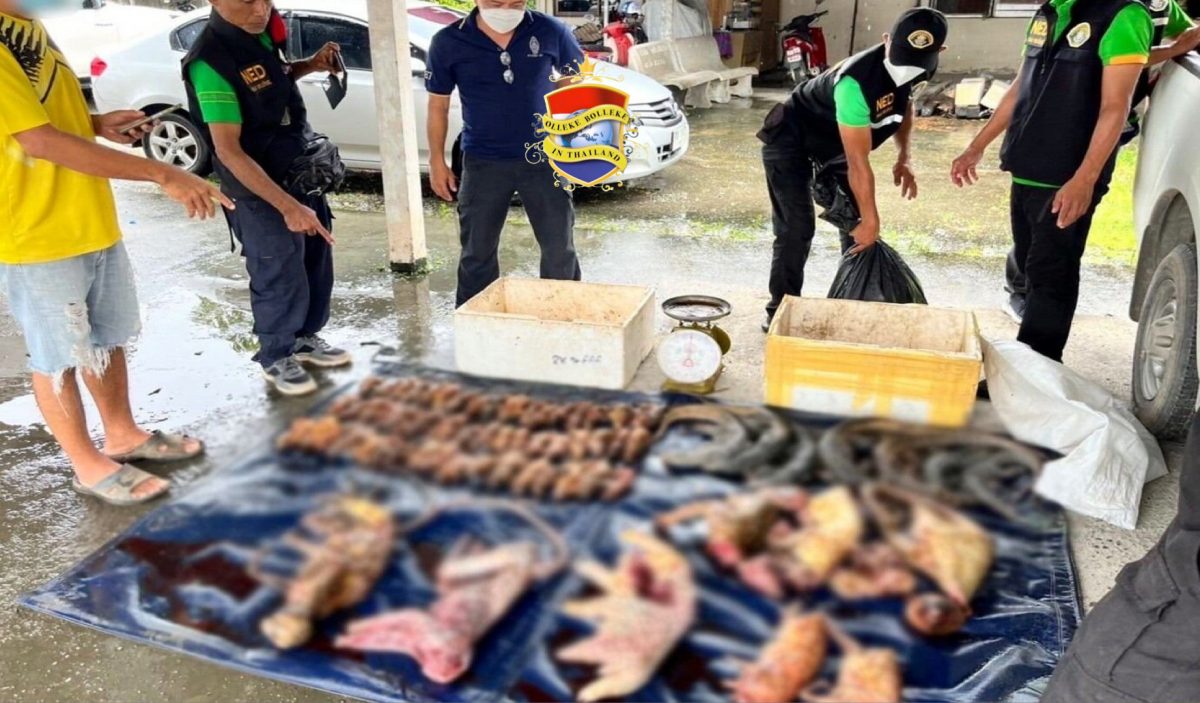 Thaise vrouw in Zuid-Thailand betrapt met 70 bizarre kadavers van dieren