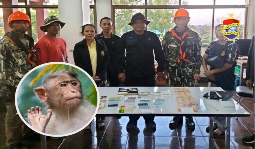 Aap steelt in Thailand een tas met 50.000 Thaise baht en gooit deze van een klif!