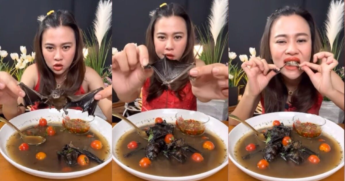 🎥 | Vlogger in  Thailand riskeert gevangenisstraf voor eten van vleermuis