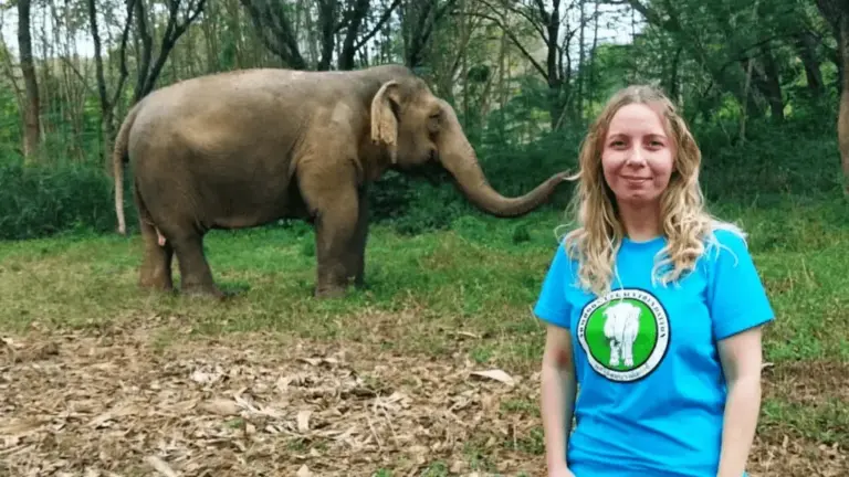 Manouk redt olifanten van wreed toeristenleven in Thailand