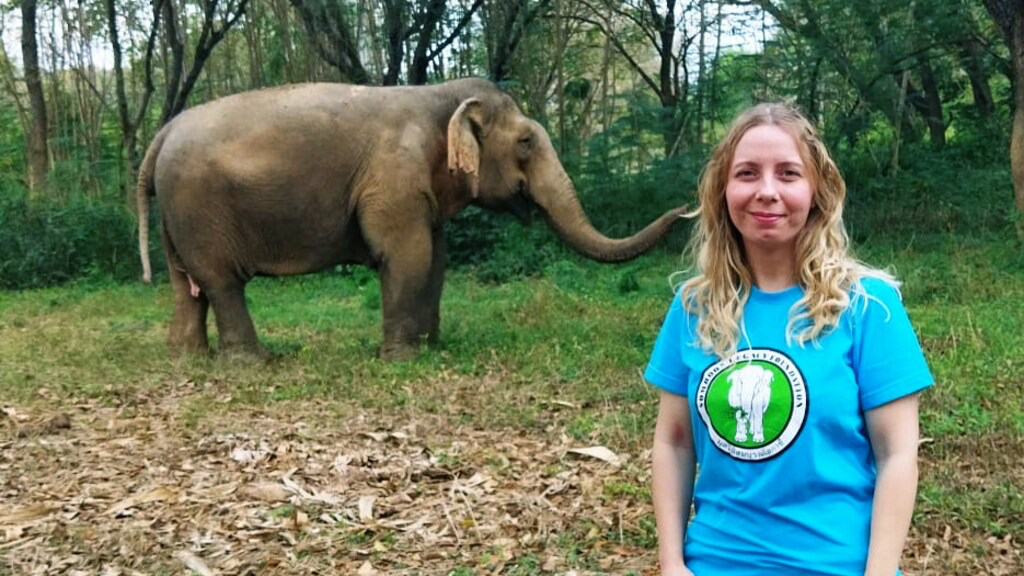 Manouk redt olifanten van wreed toeristenleven in Thailand