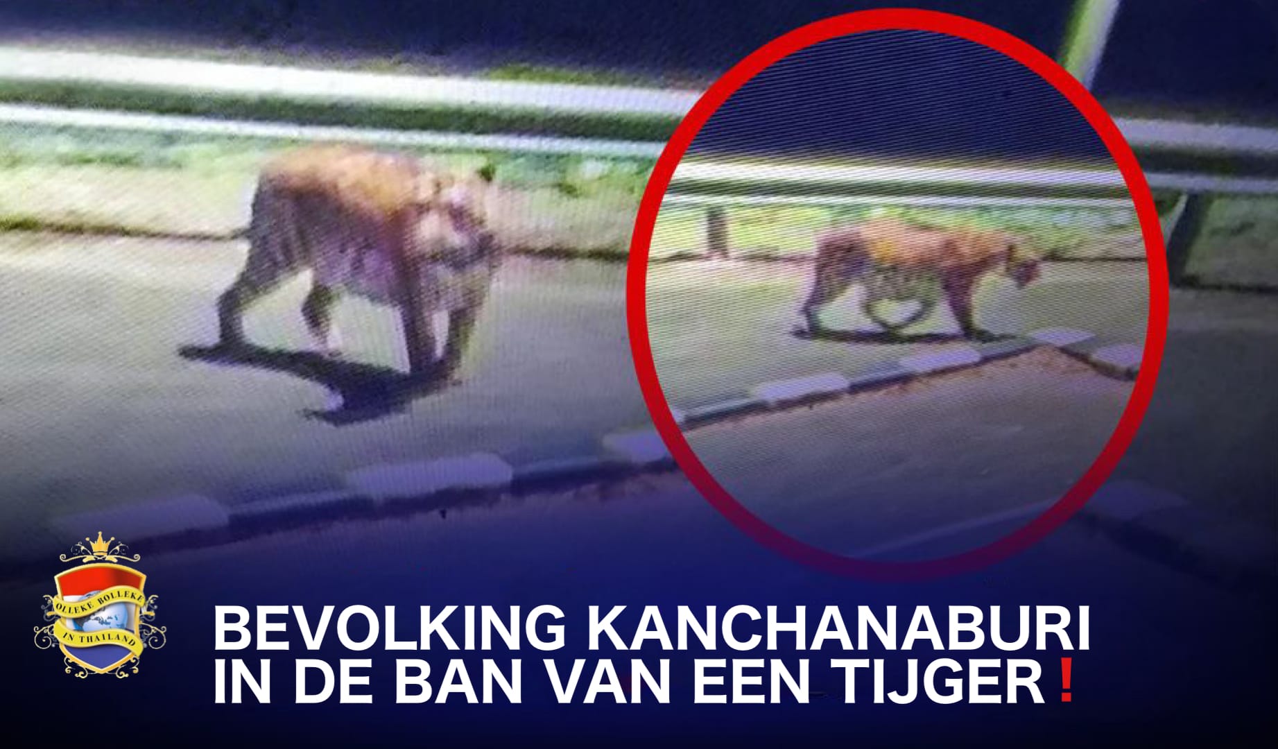 Mensen in West-Thailand, in de buurt van de srinagarind-dam gewaarschuwd dat er een wilde tijger rondsluipt