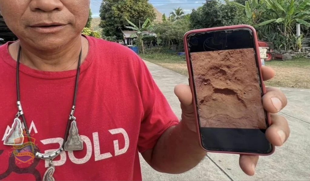 Dorpsbewoners raken in paniek na het vinden van sporen van de Bengaalse tijger in hun gemeenschap in Thailand 