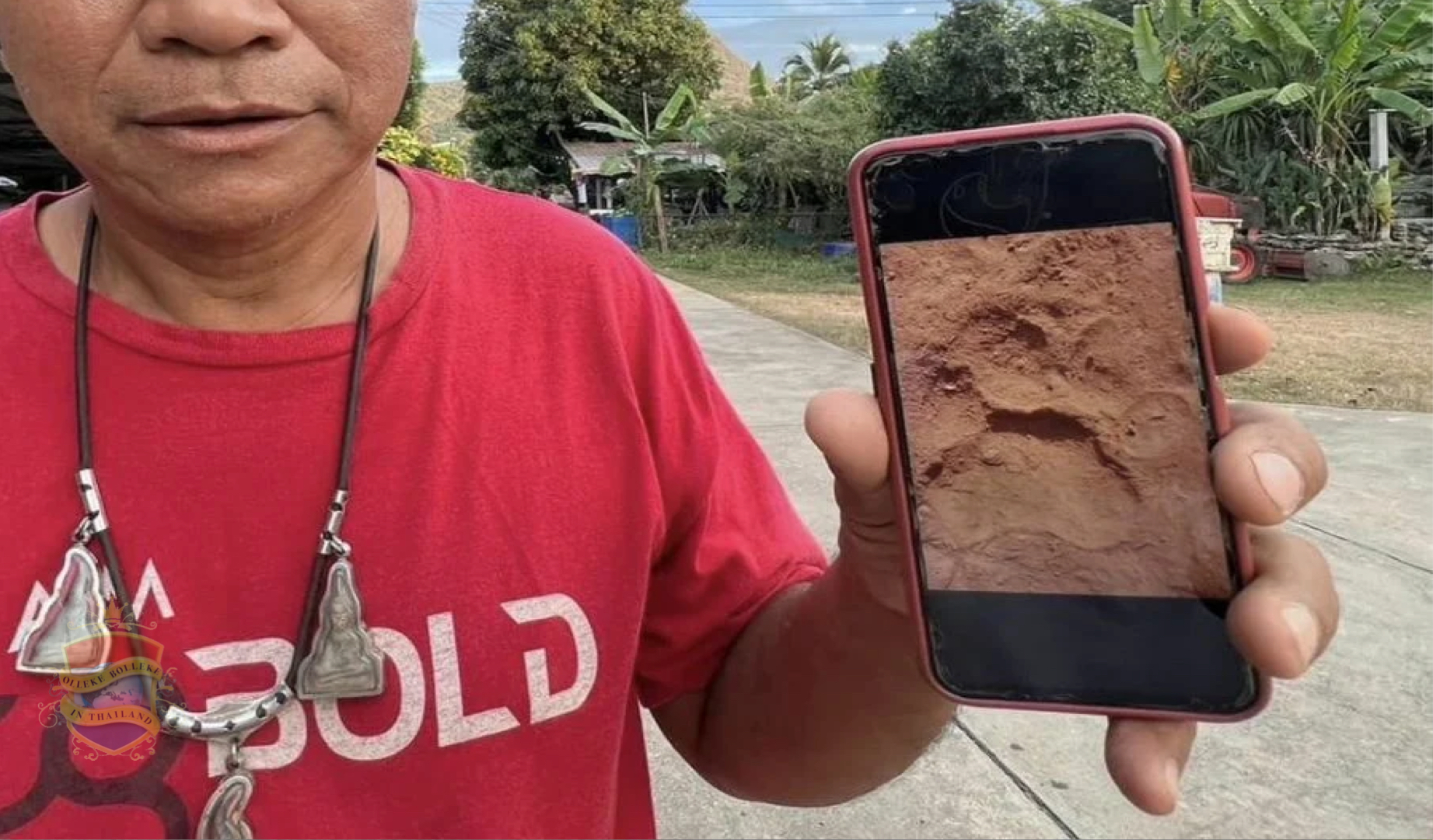Dorpsbewoners raken in paniek na het vinden van sporen van de Bengaalse tijger in hun gemeenschap in Thailand 