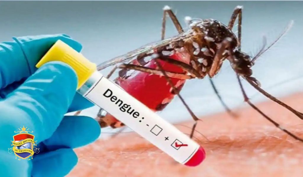 Gemuteerde muggen vormen een groeiende bedreiging in Azië