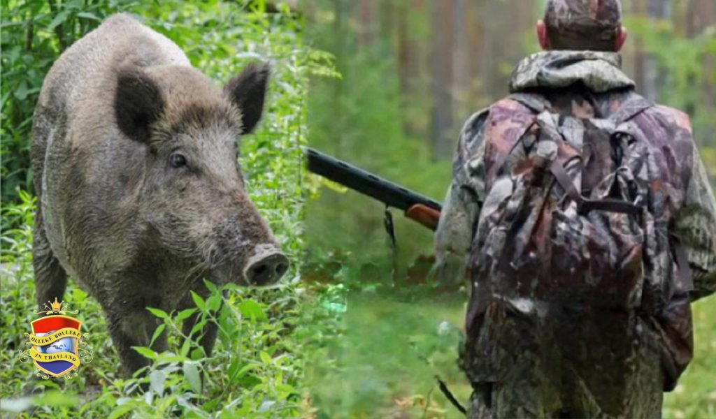 Thaise man in Noordoost-Thailand ziet zijn jachtvriend aan voor wild zwijn en schiet hem dood