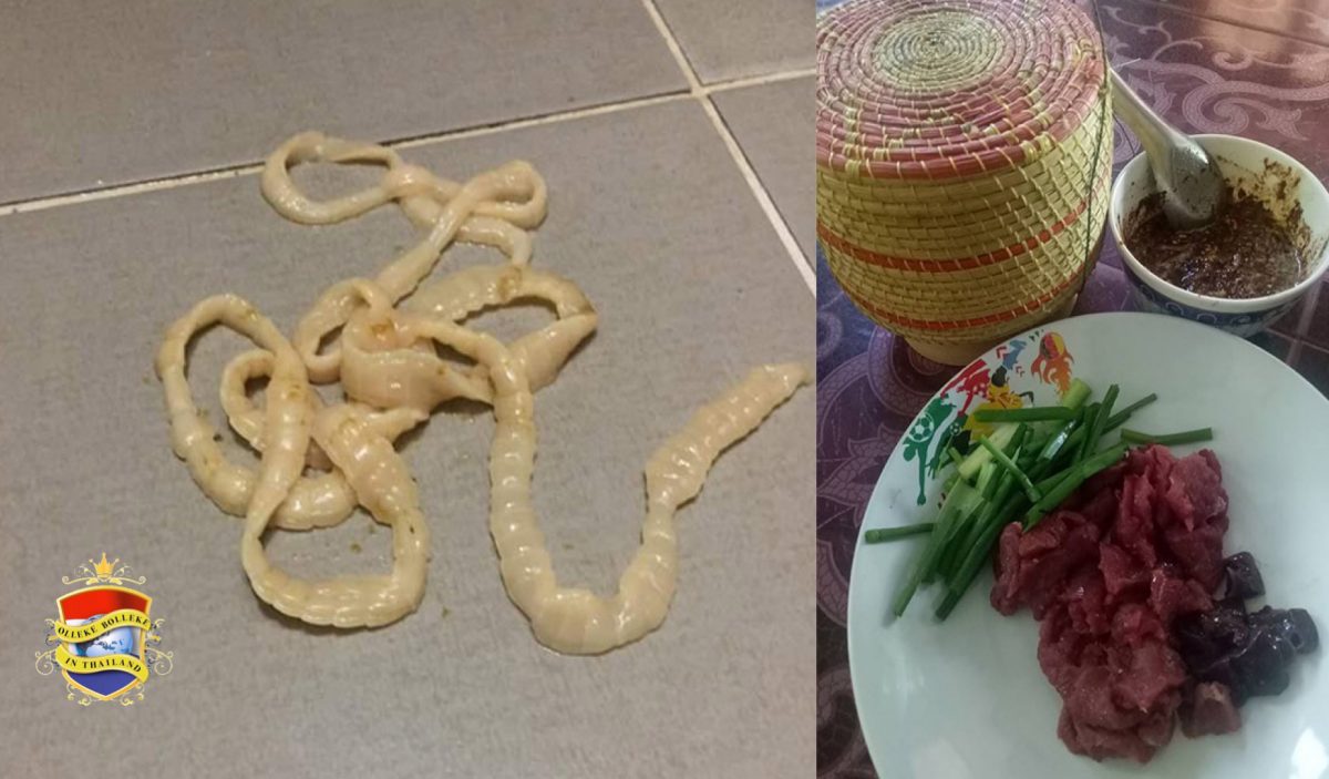 Lintworm van 2 meter gevonden bij Thaise man die graag rauw vlees eet 