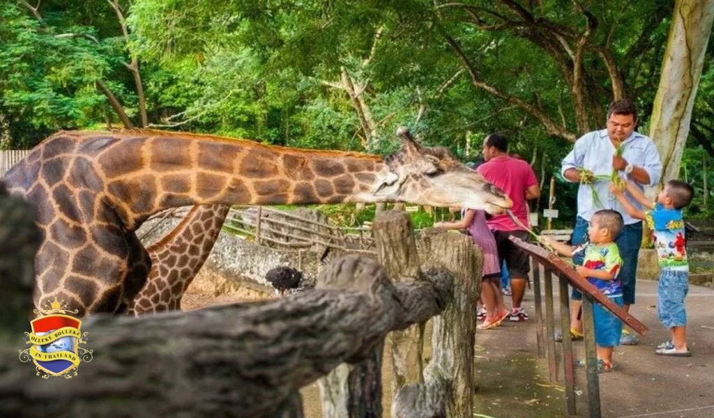 Kinderen in thailand kunnen vandaag op kinderdag gratis naar zes dierentuinen