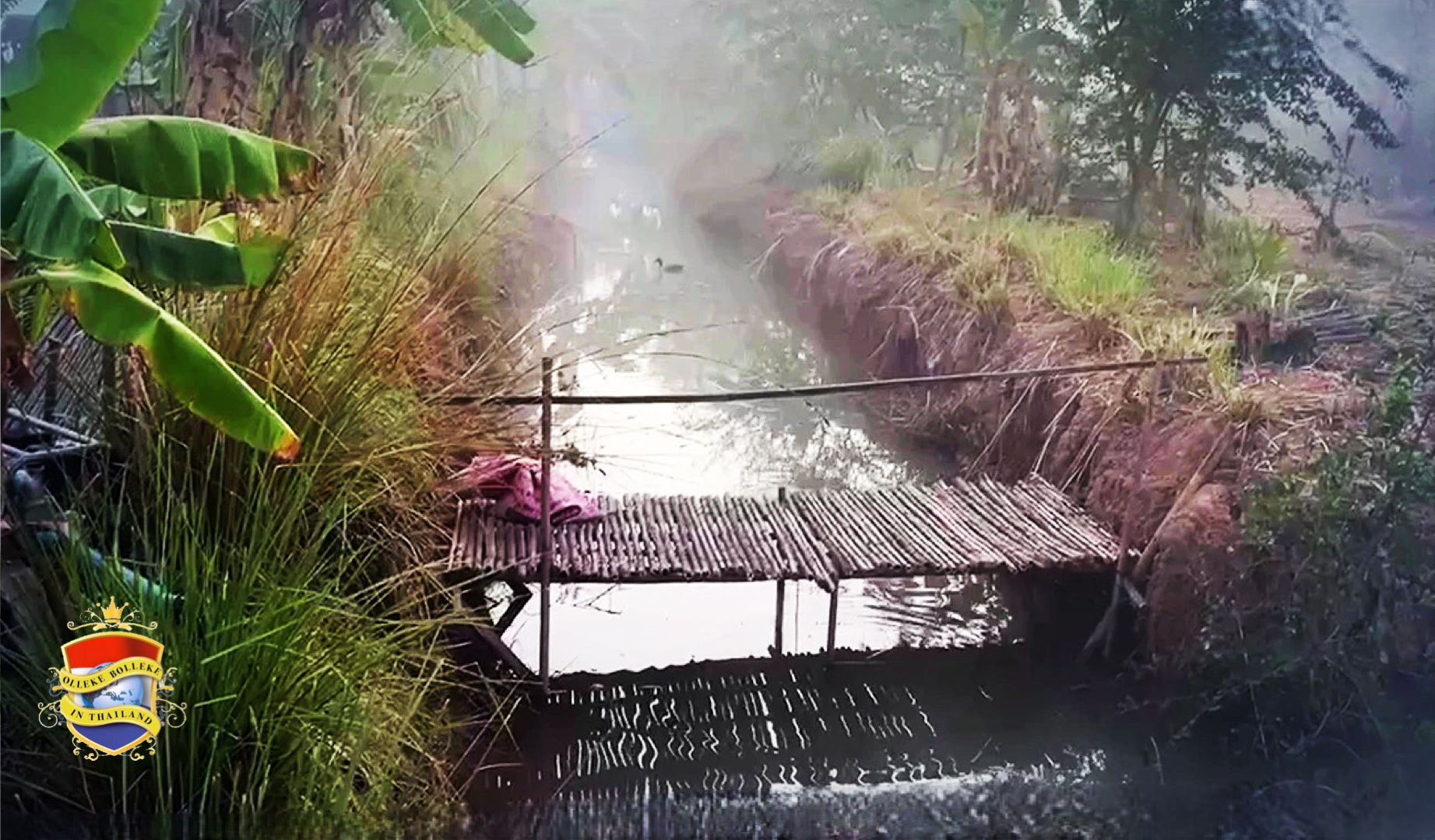 Ondernemende boer in Noordoost-Thailand ‘verkoopt’ frisse lucht voor 1.000 baht per uur