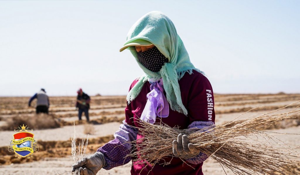 Thailand biedt amnestie voor de “little ghosts” in Zuid-Korea