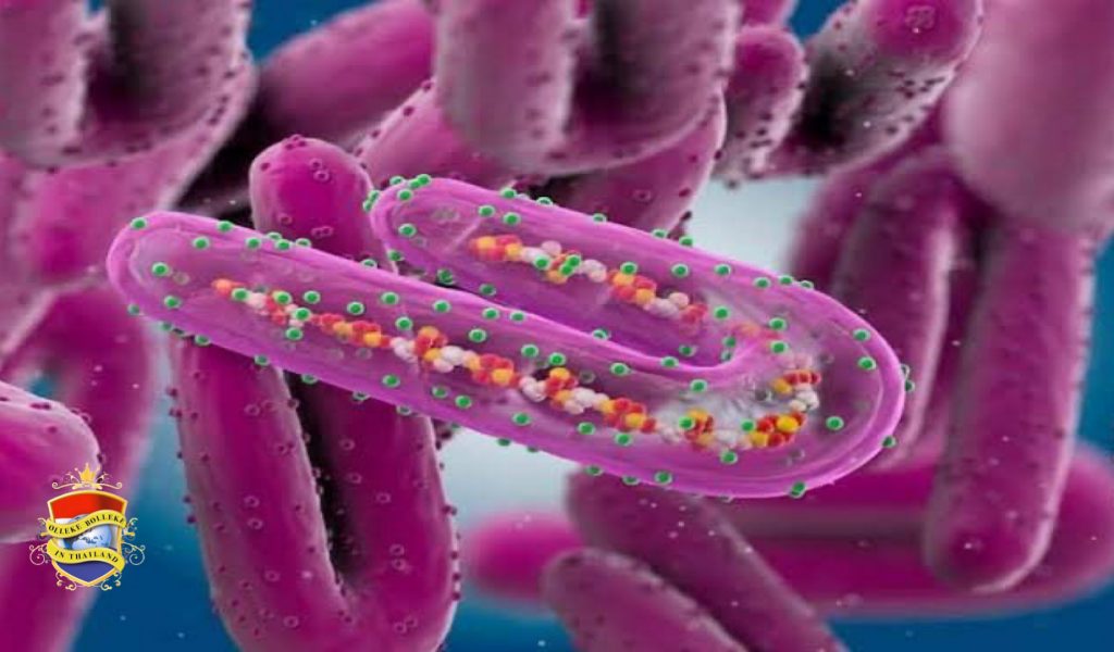 Thailand stelt géén reisverbod uit Equatoriaal-Guinea in ondanks dodelijke MVD-uitbraak