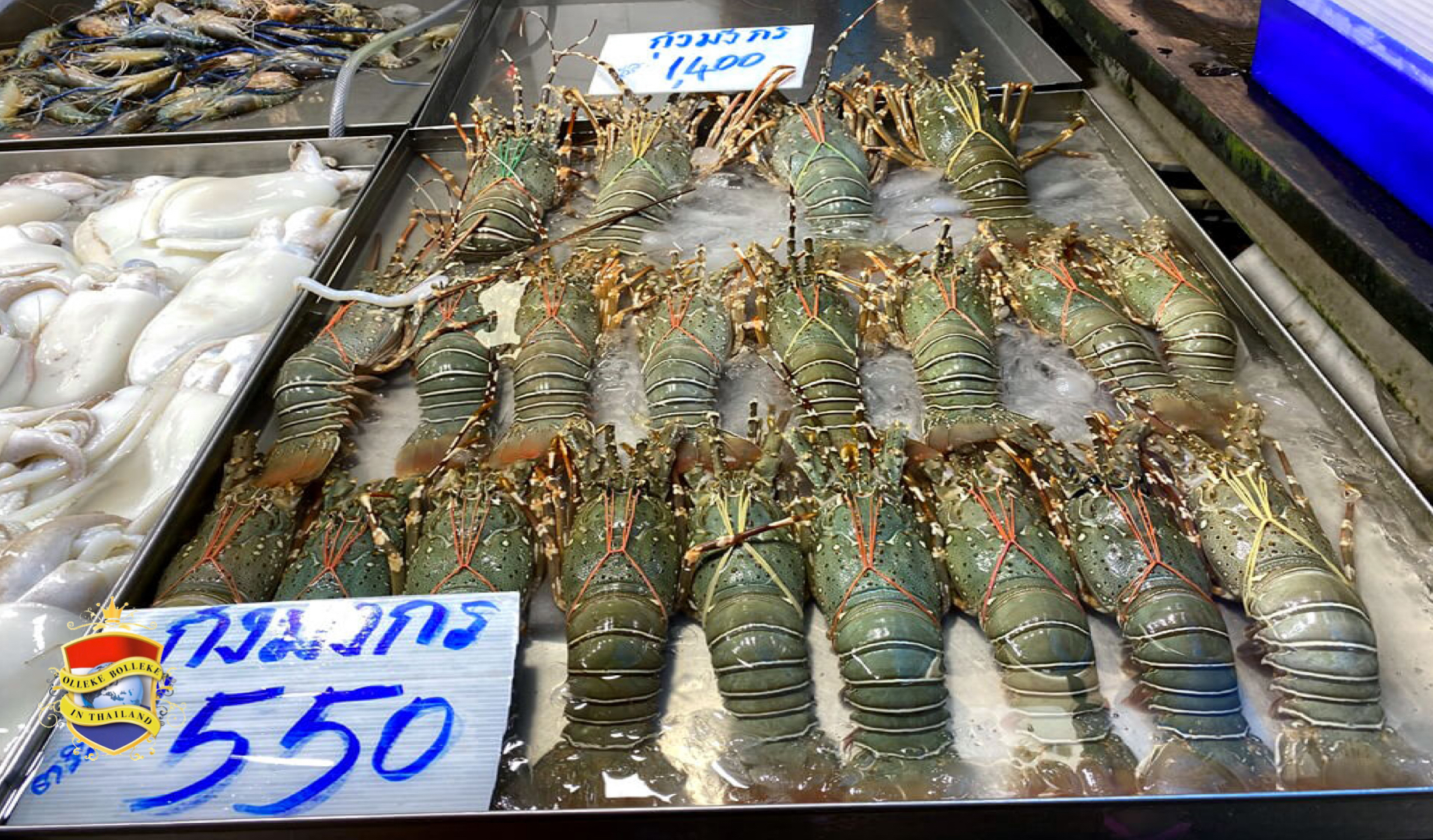 Je waant je even in een andere wereld als je de vismarkt van Naklua in Oost-Thailand bezoekt