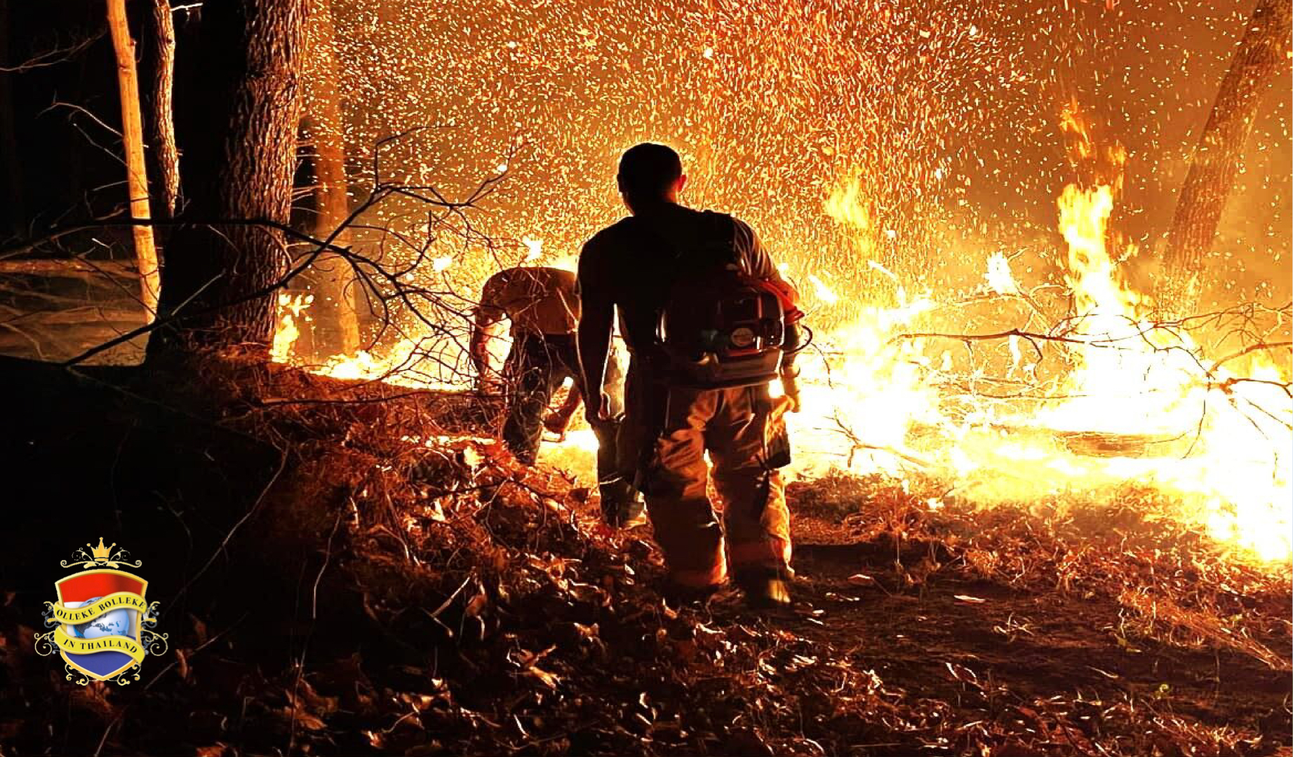 Thailand genoodzaakt om 8 nationale parken in het noorden te sluiten om bosbranden te voorkomen